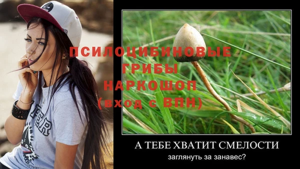 гидропоника Ельня