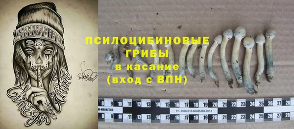 гидропоника Ельня