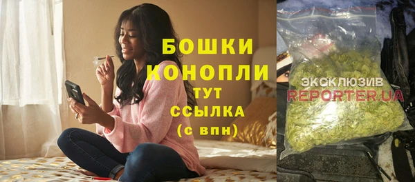 spice Елабуга