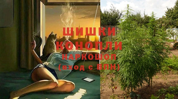 spice Елабуга